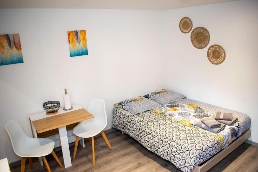 Studio Charmant Confortable Tv Centre Ville ลูวิเยร์ ภายนอก รูปภาพ